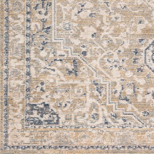 Surya Amore AMO-2331 2'6" x 8' Rug