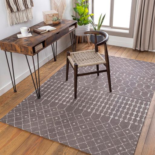 Surya Amsterdam AMS-1026 2' x 3' Rug