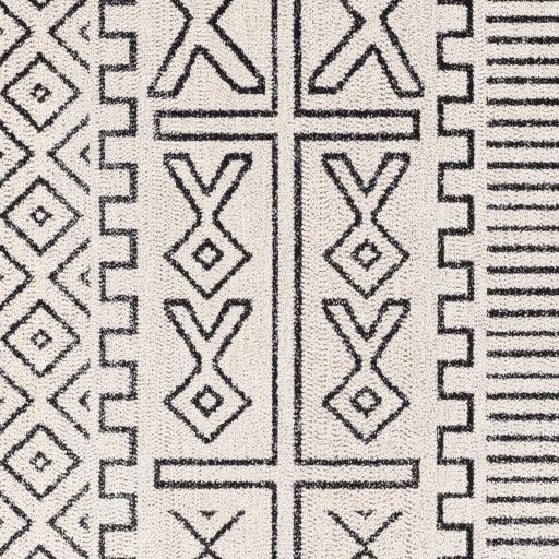 Surya Amsterdam AMS-1028 2' x 3' Rug