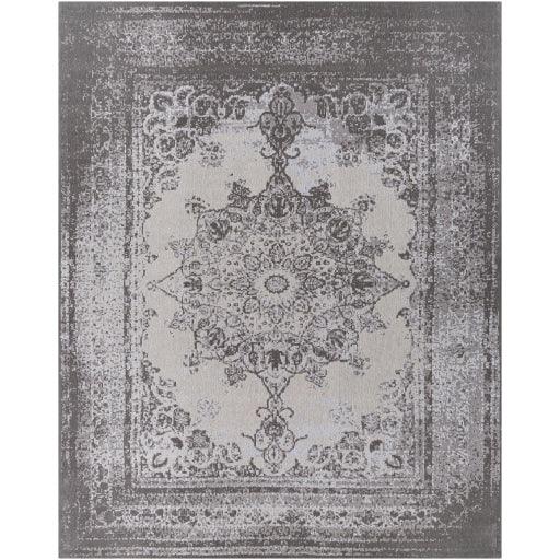 Surya Amsterdam AMS-1029 2' x 3' Rug