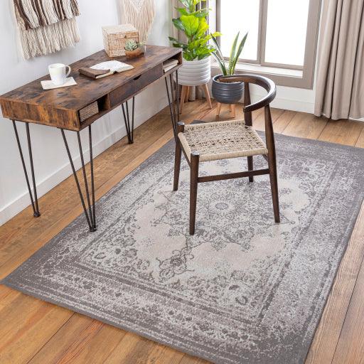 Surya Amsterdam AMS-1029 2' x 3' Rug