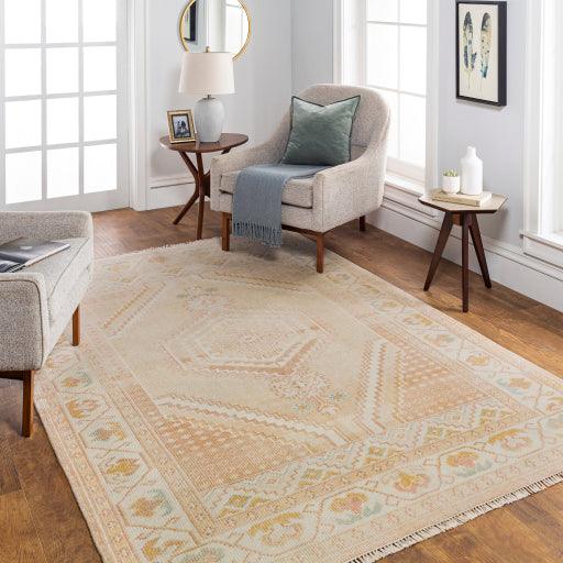 Surya Anadolu AAU-2305 10' x 14' Rug