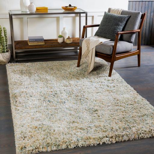 Surya Anaheim AHM-2300 2'6" x 8' Rug