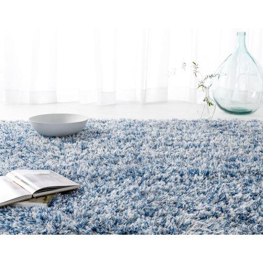 Surya Anaheim AHM-2301 2'6" x 8' Rug