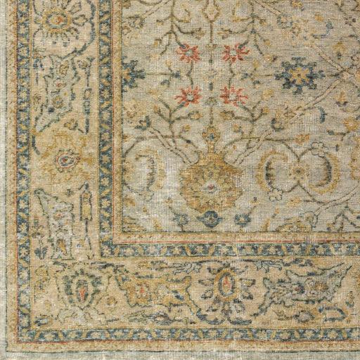 Surya Anatolia ANY-2300 Area Rug