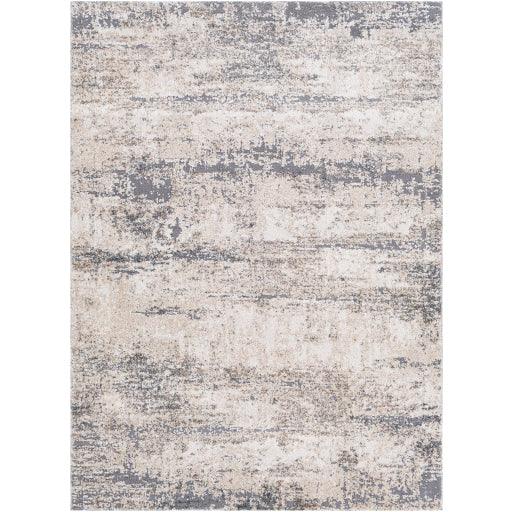 Surya Andorra ARD-2300 2' x 3' Rug