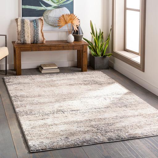 Surya Andorra ARD-2300 2' x 3' Rug