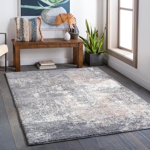 Surya Andorra ARD-2302 2' x 3' Rug