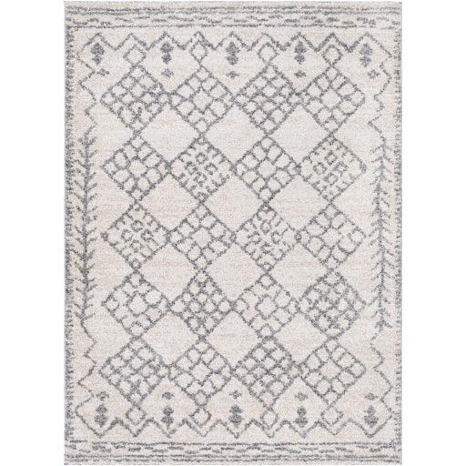 Surya Andorra ARD-2307 2' x 3' Rug