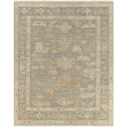 Surya Antalya AAT-2306 10' x 14' Rug