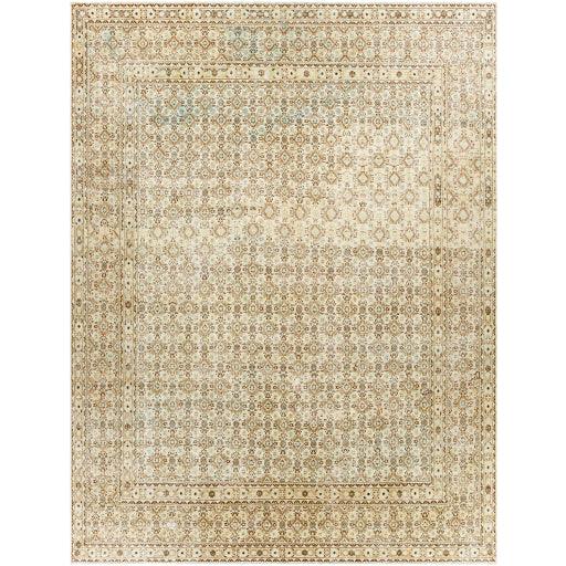 Surya Antique One of a Kind AOOAK-1226 9'3" x 12' Rug