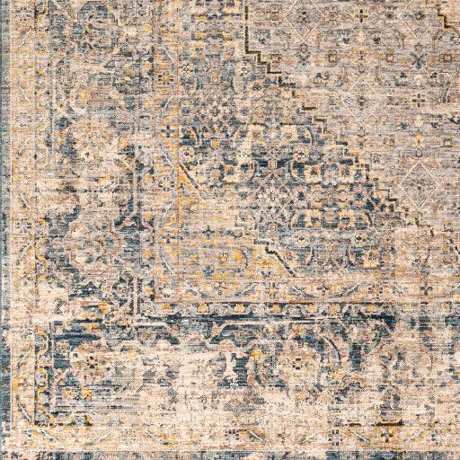 Surya Aspendos APS-2300 10' x 14' Rug