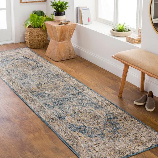 Surya Aspendos APS-2304 10' x 14' Rug