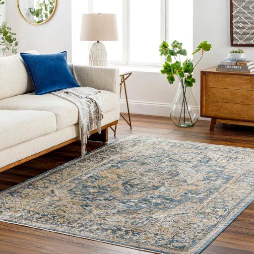 Surya Aspendos APS-2323 10' x 14' Rug