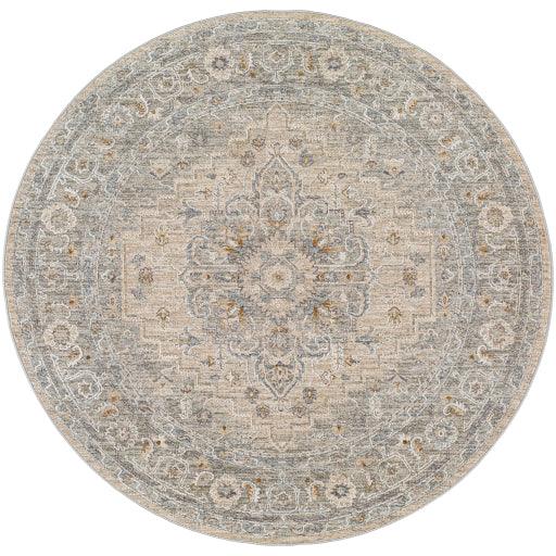 Surya Avant Garde AVT-2302 2'7" x 4' Rug