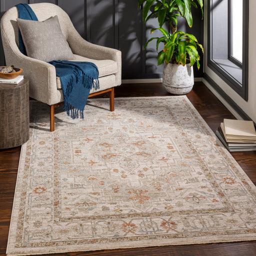 Surya Avant Garde AVT-2313 2'7" x 4' Rug