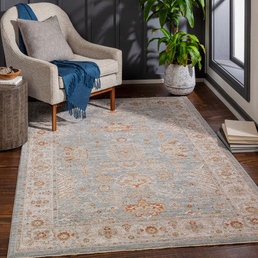 Surya Avant Garde AVT-2318 2'7" x 4' Rug