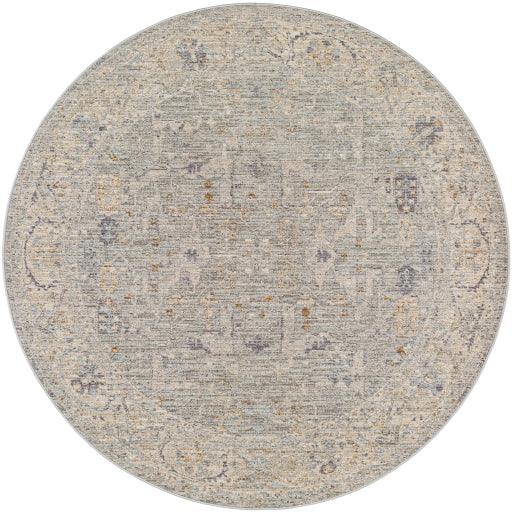 Surya Avant Garde AVT-2339 2'7" x 4' Rug