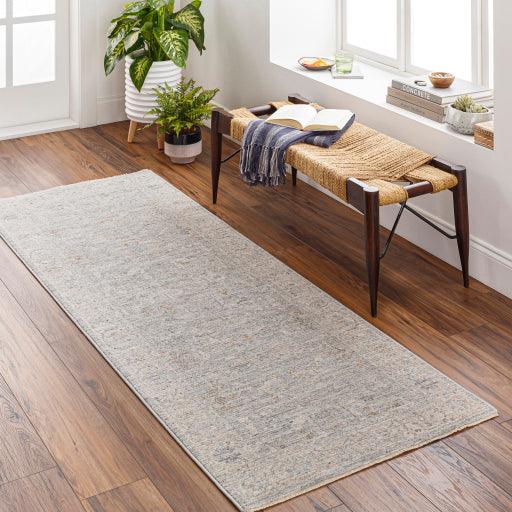 Surya Avant Garde AVT-2339 2' x 3' Rug