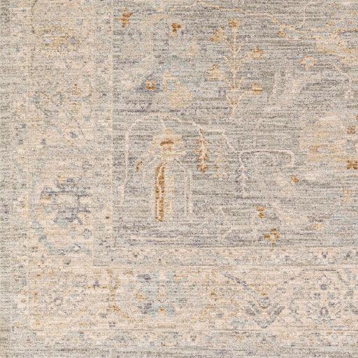 Surya Avant Garde AVT-2339 2' x 3' Rug