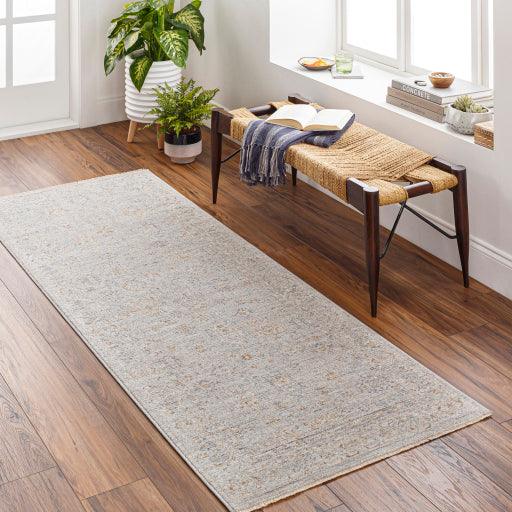 Surya Avant Garde AVT-2343 2'7" x 4' Rug