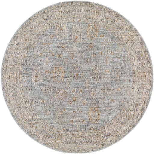 Surya Avant Garde AVT-2344 2'7" x 4' Rug