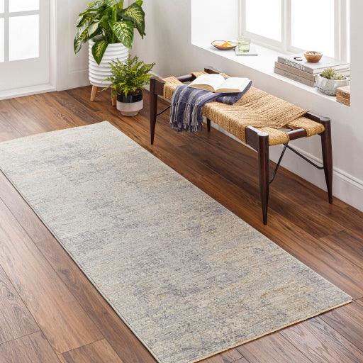 Surya Avant Garde AVT-2345 2'7" x 4' Rug