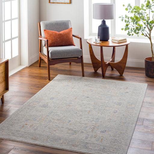 Surya Avant Garde AVT-2348 2'7" x 4' Rug