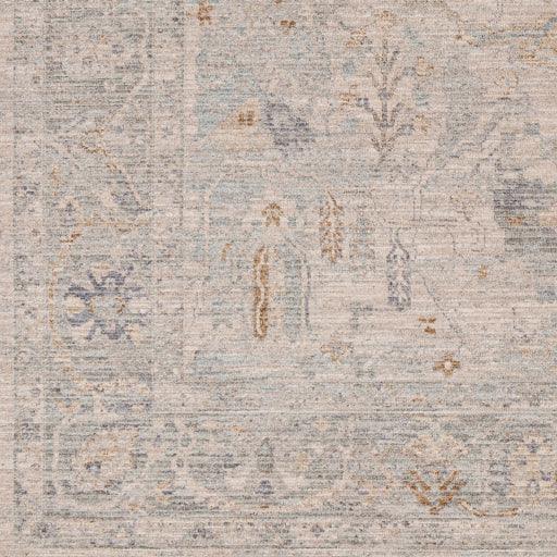 Surya Avant Garde AVT-2348 2' x 3' Rug