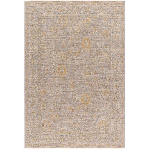 Surya Avant Garde AVT-2352 2'7" x 4' Rug