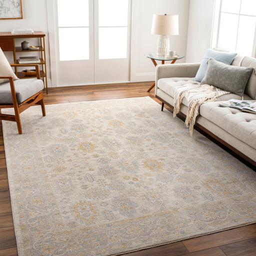 Surya Avant Garde AVT-2353 2'7" x 4' Rug