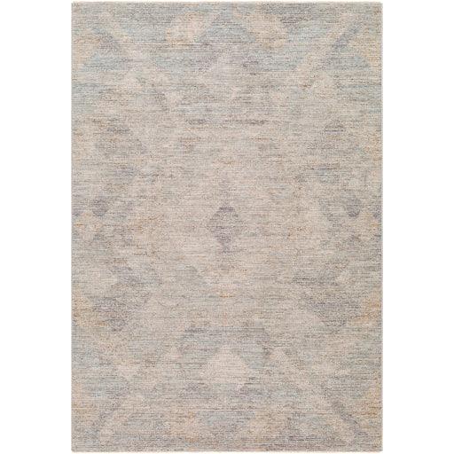 Surya Avant Garde AVT-2356 2'7" x 4' Rug