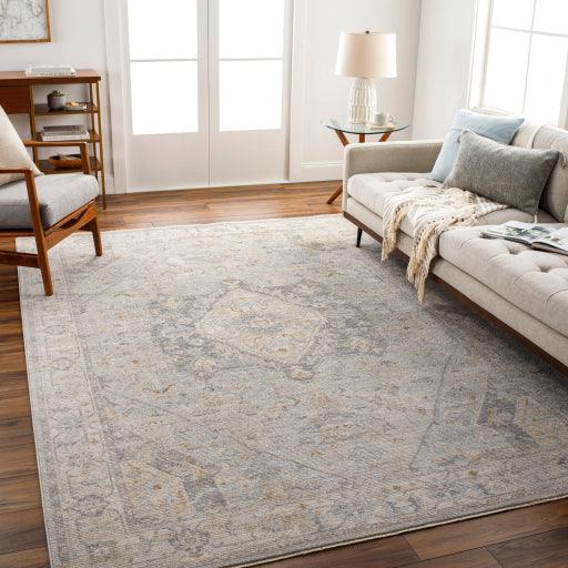 Surya Avant Garde AVT-2359 2' x 3' Rug