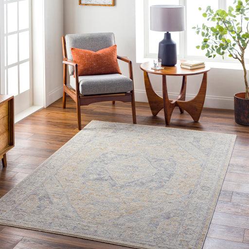 Surya Avant Garde AVT-2367 2'7" x 4' Rug