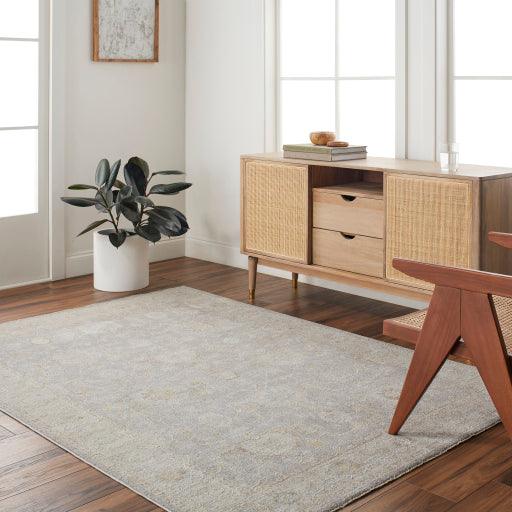 Surya Avant Garde AVT-2380 2' x 3' Rug