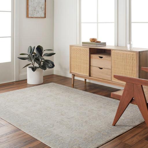 Surya Avant Garde AVT-2381 2' x 3' Rug