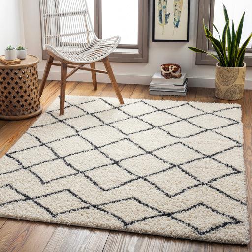 Surya Beni Shag BSH-2301 2'7" x 7'3" Rug