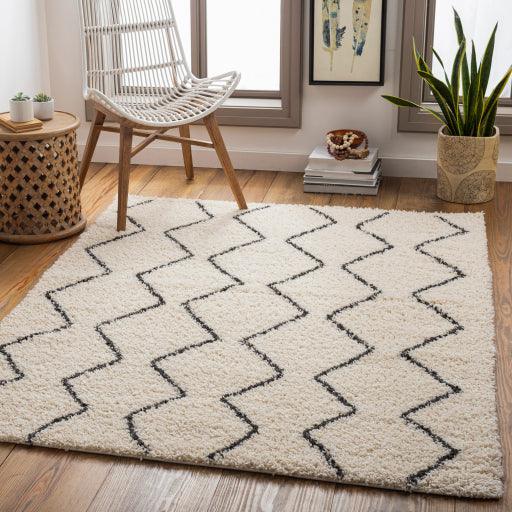 Surya Beni Shag BSH-2302 2'7" x 7'3" Rug