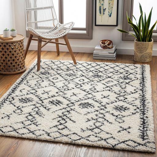 Surya Beni Shag BSH-2306 2'7" x 7'3" Rug