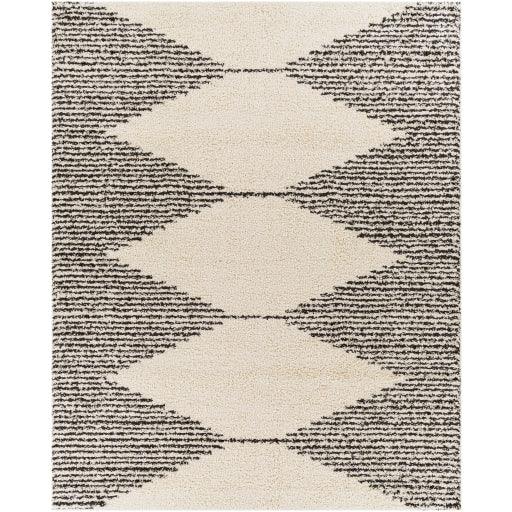 Surya Beni Shag BSH-2308 2'7" x 7'3" Rug