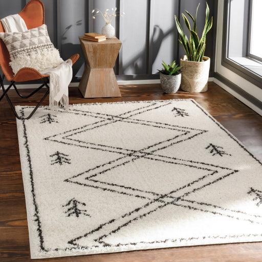 Surya Beni Shag BSH-2315 2'7" x 7'3" Rug