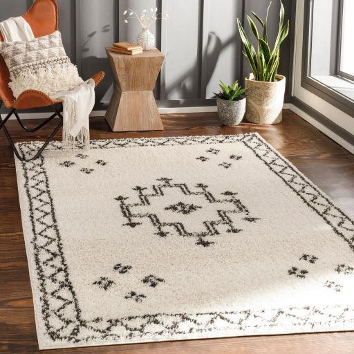 Surya Beni Shag BSH-2320 2'7" x 7'3" Rug