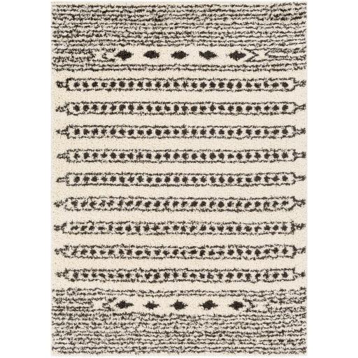 Surya Beni Shag BSH-2323 5'3" x 7' Rug