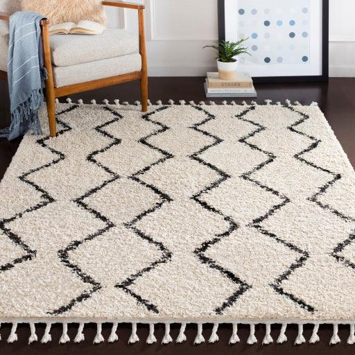 Surya Berber Shag BBE-2303 3'1" x 4'11" Rug