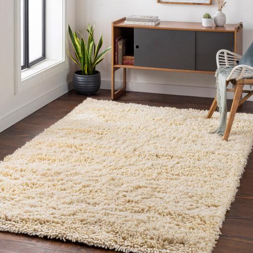 Surya Berkley BRK-3300 2' x 3' Rug