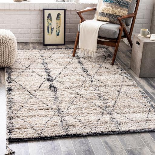 Surya Birch BHC-2302 2' x 3' Rug