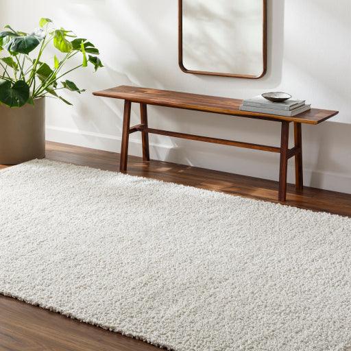 Surya Boculette BCT-2300 2' x 3' Rug