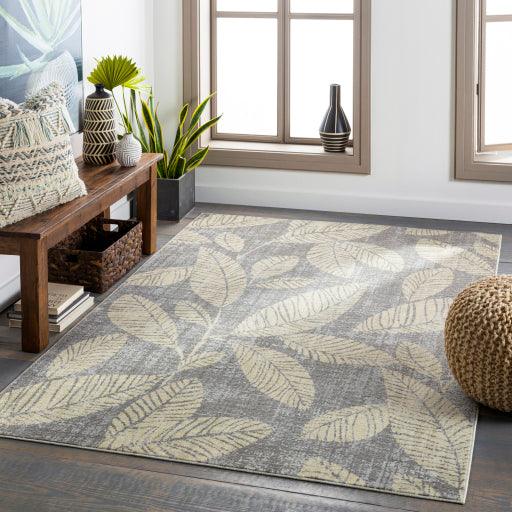 Surya Bodrum BDM-2322 5'3" x 7'3" Rug