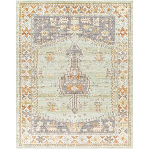 Surya Bodrum BDM-2334 5'3" x 7'3" Rug