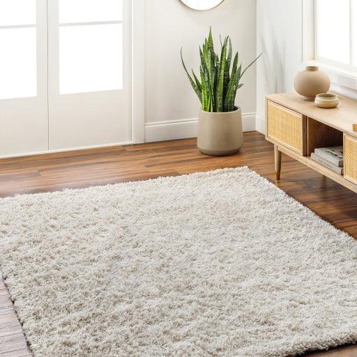 Surya Bogota Shag BTG-2302 5'3" x 7' Rug